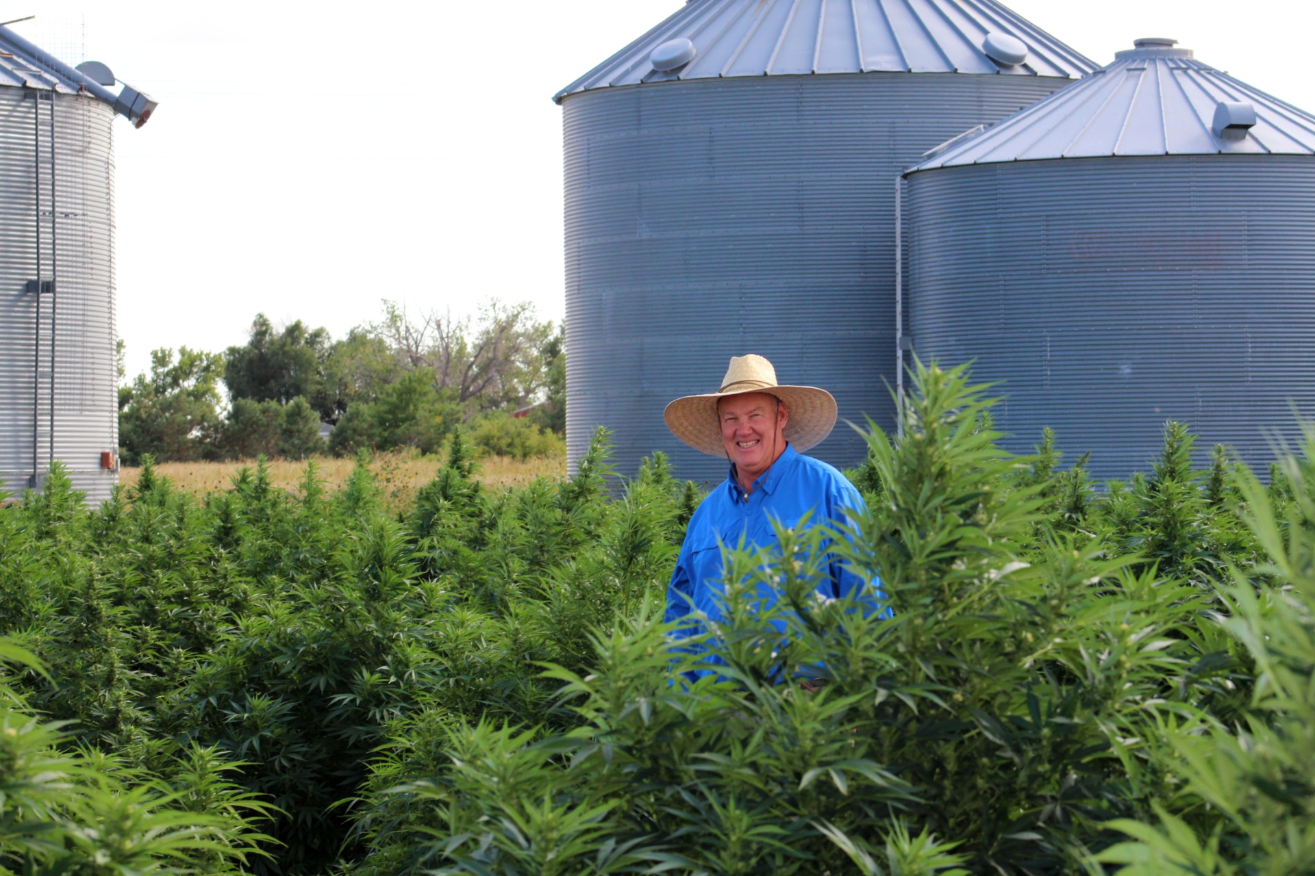 Stephen Smith, the owner of Plumthicket Farms, discusses the hemp industry in Colorado.
